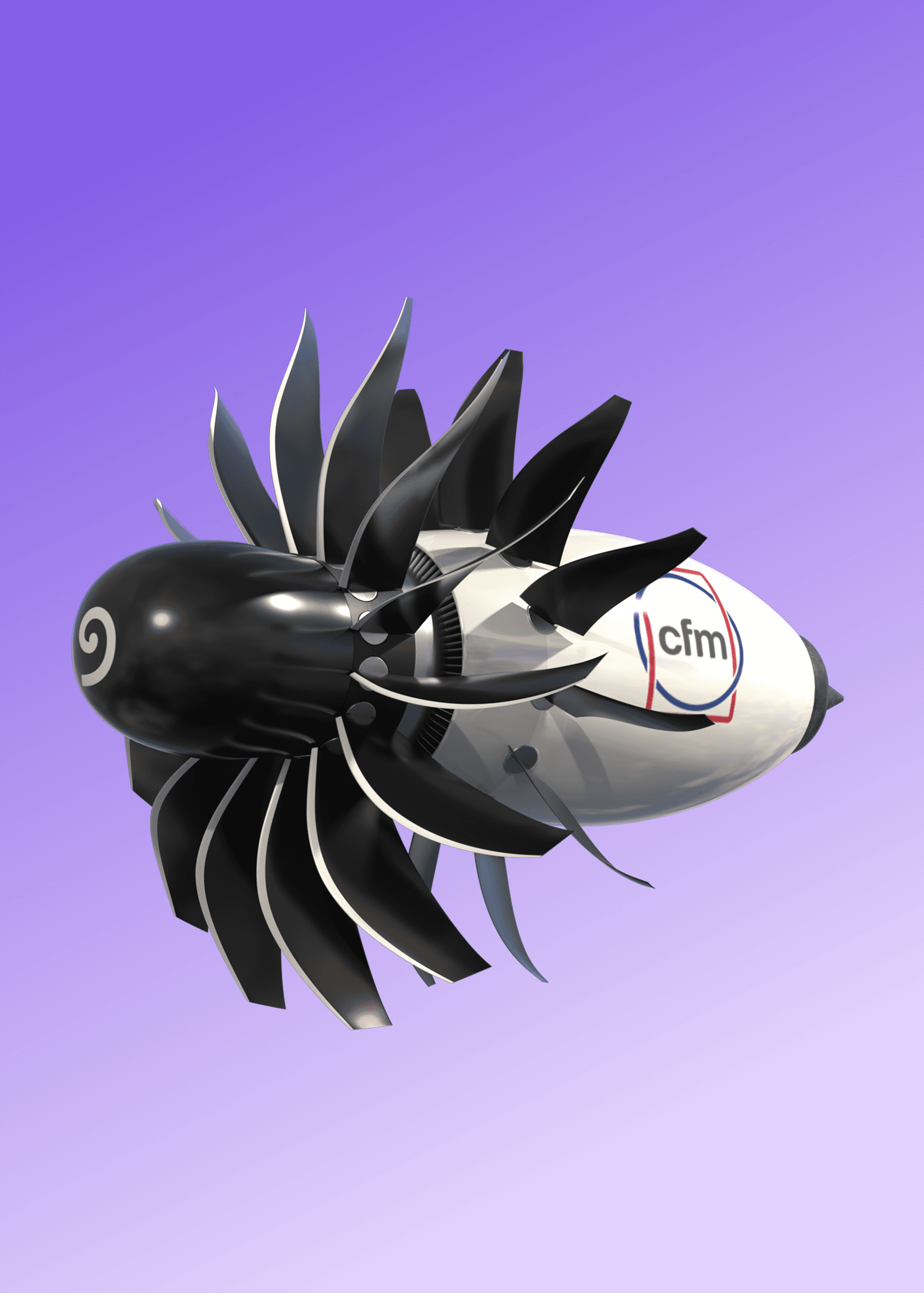 rise program pic large